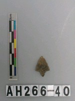 藏品(帶鋌打製石鏃)的圖片